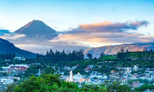 AdobeStock_223163768